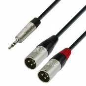 Adam Hall Cables 4 STAR YWMM 0300 - Câble Audio REAN Mini-Jack 3,5 mm stéréo vers 2 x XLR mâle 3 m