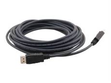 Kramer C-MDPM/MDPM - Câble DisplayPort - DisplayPort mâle pour DisplayPort mâle - 3 m