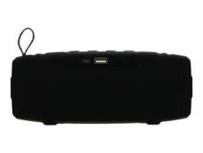 AKOR EP30GF - Haut-parleur - pour utilisation mobile - sans fil - Bluetooth - 6 Watt - graffiti