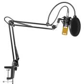 Neewer Microphone à Condensateur NW-800, Microphone
