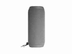 Haut-parleur portable denver electronics bts-110 gris BTS-110GREY