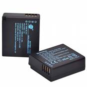 DSTE Batterie de Remplacement en 2 pièces DMW-BLG10
