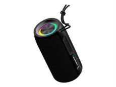 Blaupunkt BLP3935 - Haut-parleur - pour utilisation mobile - sans fil - Bluetooth - 10 Watt