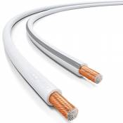 deleyCON 10m Cable pour Haut-Parleur 2x 1,5mm² Aluminium