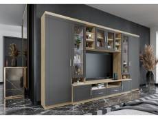 Furnix meuble-paroi palloma tv-lowboard 3 armoires vitrine vitrée sans led sonoma graphit