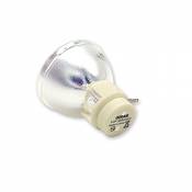 JRUIAN Lampe de Remplacement P-VIP 190/0.8 E20.9N Lampe de projecteur VIP 190W E20.9 Compatible avec Le Remplacement d'ampoule de Projection Osram (Co