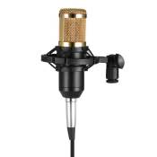 BM800 Microphone à condensateur studio enregistrement