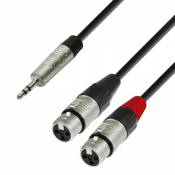 Adam Hall Cables 4 STAR YWFF 0180 - Câble Audio REAN Mini-Jack 3,5 mm stéréo vers 2 x XLR femelle 1,8 m