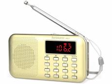 Radio de poche am fm avec supporte carte tf/usb or gris