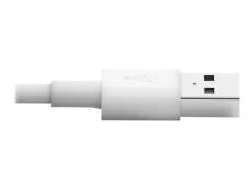 Tripp Lite Câble de chargement / synchronisation Lightning vers USB - Blanc - Câble de données /d'alimentation - USB mâle pour Lightning mâle - 1.83 m