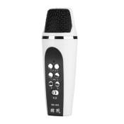 MUGAST Mini Microphone Changeur de Voix 4 Modes Modificateur