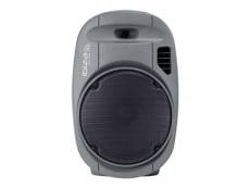 Ibiza Sound PORT12VHF-GR-MKII - Haut-parleur - pour système d'assistant personnel - sans fil - Bluetooth - 350 Watt - 2 voies - gris