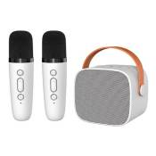 Double Microphone Haut-Parleur Bluetooth sans Fil Mini