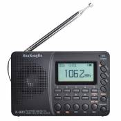 Universal Radio portable professionnelle mini HRD 603