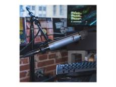 Blue Microphones Ember - Microphone - ardoise