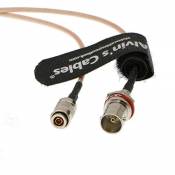 Alvin's Cables BNC Femelle Bulkhead Oring à DIN 1.0/2.3 Mâle Câble RG179 Pigtail RF 75 Ohm 30CM