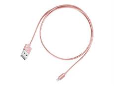 SilverStone CPU03 - Câble Lightning - USB mâle pour