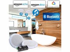 Haut-parleurs 80w plafond encastrable waterproof hifi amplifiée compatible smartphone google home bluetooth amazon alexa echo