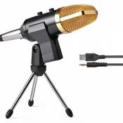 Microphone à Condensateur Professionnel Studio Enregistrement