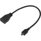 INECK® Cable adaptateur Micro HDMI mâle vers HDMI femelle Convertisseur pour Tablettes / Appareils Photo / Camescope / Video Caméra / Panasonic Lumix
