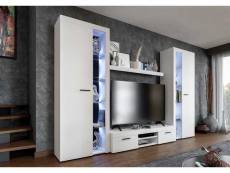 Furnix mural Rivay XL meuble-paroi armoire tv vitrine étagère 4 pièces 300 cm blanc moderne