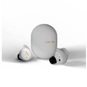 Ecouteurs sans fil True Wireless Divacore AntiPods 2 avec réduction de bruit Blanc