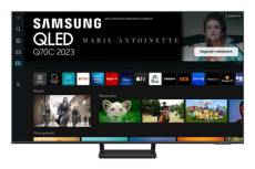TV QLED Samsung TQ65Q70CATXXC 165 cm 4K UHD Smart TV 2023 Gris titane