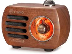 Radio portable fm bluetooth aux marron