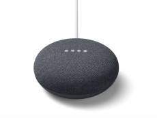 Google Nest Mini Assistant vocal Charbon