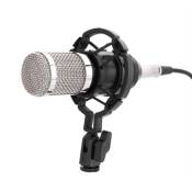 Set de microphones à condensateur audio professionnel Micro d'enregistrement audio de studio avec support de choc Chant
