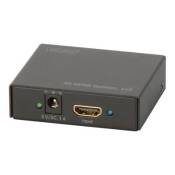 DIGITUS DS-46304 - répartiteur vidéo/audio - 2 ports