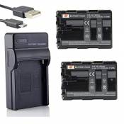 DSTE NP-FM500H Li-ION Batterie (2-Pack) et Chargeur