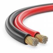 MANAX Câble de haut-parleur CCA 2 x 1,5 mm² rouge/noir 10m