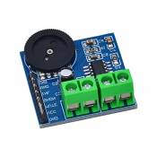 DollaTek Module d'amplificateur Audio du Module amplificateur