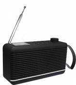 Sky Vision Radio Dab 30 G - Radio numérique Portable et Haut-Parleur Bluetooth en Un - pour l'extérieur, Dab+, Tuner FM/FM (Surface caoutchoutée) - Da
