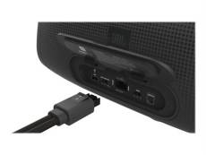 JBL BASSPRO Go - Haut-parleur - pour utilisation mobile - sans fil - Bluetooth - 100 Watt - noir