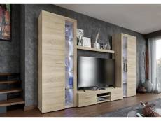 Furnix mural Rivay xl meuble-paroi armoire tv vitrine étagère 4 pièces 300cm chêne sonoma