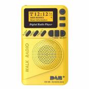 Universal Radio de poche Portable DAB + Radio numérique