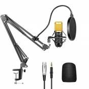 Neewer Microphone à Condensateur NW-800, Microphone