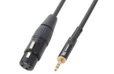 PD Connex câble audio cordon xlr f / jack 3,5 m stéréo