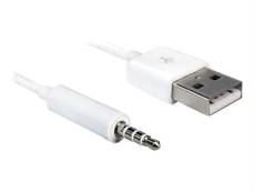 Delock - Câble de chargement / de données - USB mâle