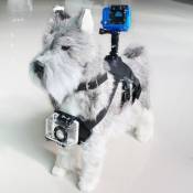 KSix PETS HOLDER - Système de support - harnais pour chiens