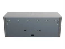 Philips TAW6505 - Haut-parleur - canal 2.0 - sans fil