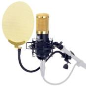 Pronomic CM-100BG Studio microphone condensateur noir/or SET incl. filtre anti pop en or