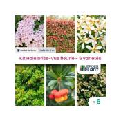 Leaderplantcom - Kit Haie Brise Vue Fleurie - 6 variété