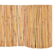 Clôture Bambou 500 x 50 cm vidaXL - N/A