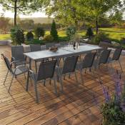 Table de jardin extensible 12 places grise avec chaises