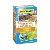 Algoflash - Semences gazon terrain sec et ensoleillé