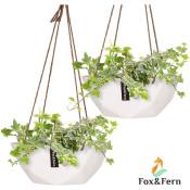 Fox & Fern Suspension Plantes d'Intérieur, Jardiniere