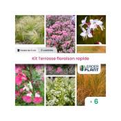 Kit Terrasse Floraison Rapide – 6 variétés –